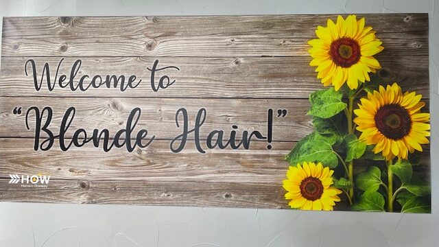 1182654579_SD1rY8yh_0cd4f2202c96f5294cb7fea56c877b821958b745