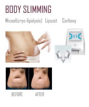 213197756_4oexdbSQ_5017a50915282cbfbb1413af1f46d51342195fc5