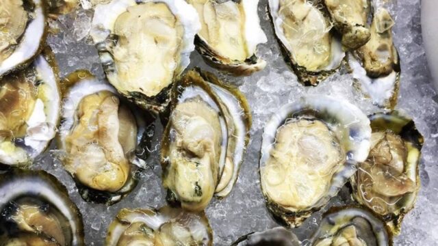 213197756_GavmwPtW_c0f9c6ea5dc2caaf3dc2e07707d11059665740b6