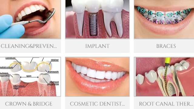 213197756_NAlPqLit_269cba010dcc5b83ee082d720ec2356656bb43d5