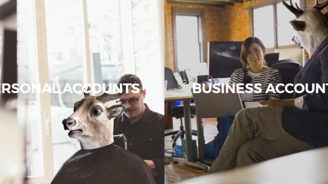 213197756_dsNhc4aR_eabf7c2eb354add39dd8a25c62f1396fac360cce