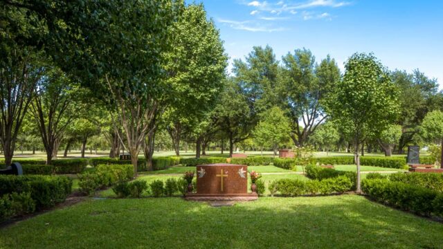 213197756_tdxDMfIj_49d98313b40d4661e8087a33fca737f2a8f21445