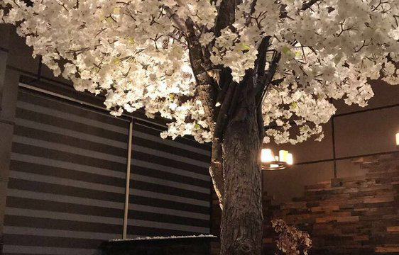 213197756_yzsW378f_8e202a00c31d0992e00fa5605ce981d777fbc5d5