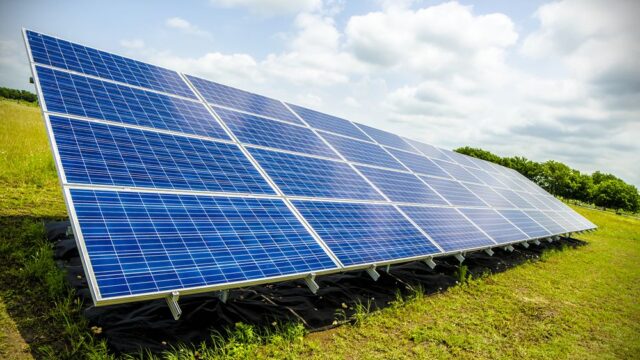 790680485_rAf4xRZs_689980814486bf911c98d5d556113f154465b2a8